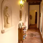 Antico